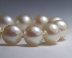 freshwater cultured pearls