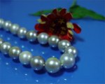 Tahitian South Sea Pearls at SelecTraders
