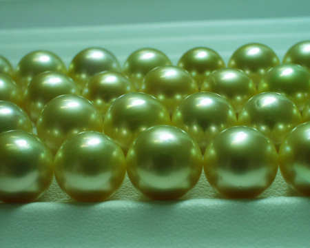 golden South Sea Pearls