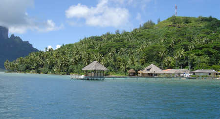 Tahitian Pearl farm