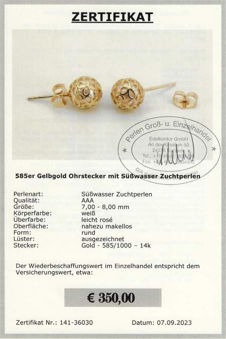 Buy earrings at SelecTraders