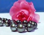 Flawless Pearls at SelecTraders